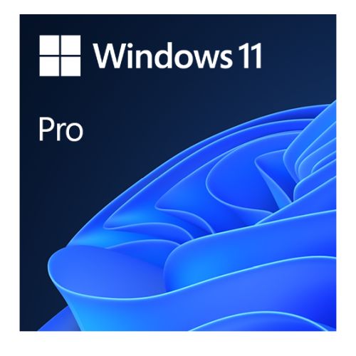 "Microsoft Windows 11 Professional 64-bit